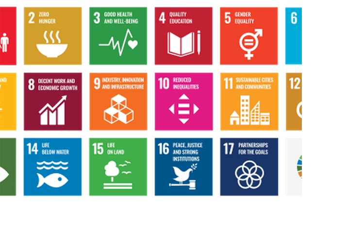 PUBLIKASI RISET BISA AKSELERASI CAPAIAN SDGS